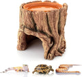 Reptile Hide Cave Hideout Habitat House Decor with Clay Water Basin