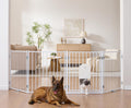 No Pawblems Freestanding Dog Gate with Cat Door for Indoor & Outdoor, White