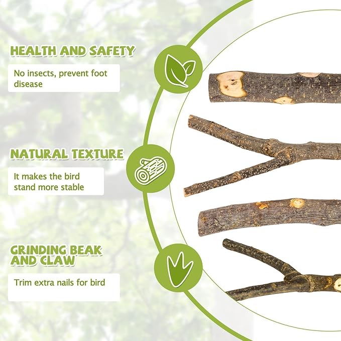5PCS Natural Wood Bird Perch Set - Image 4