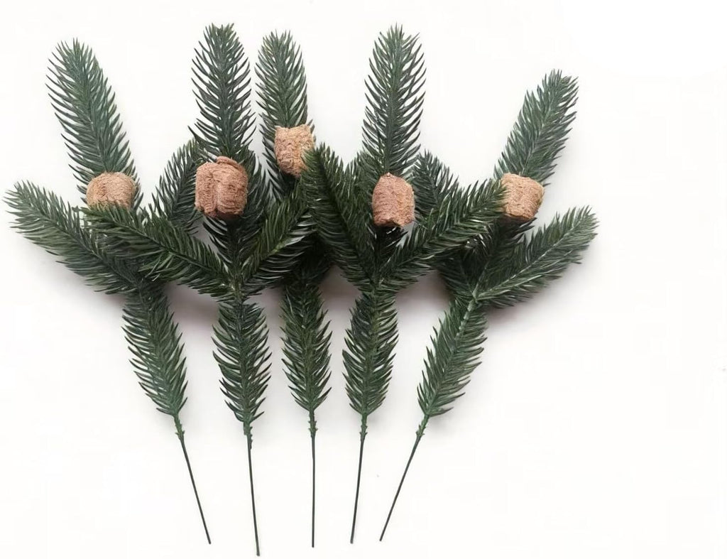 Praying Mantis Ootheca Egg Case on a Pine Branch(Five Egg Cases) – Imitate the Wild Environment, Release to the Garden, Nature, Each Ootheca can Produce up to 400 Baby mantises