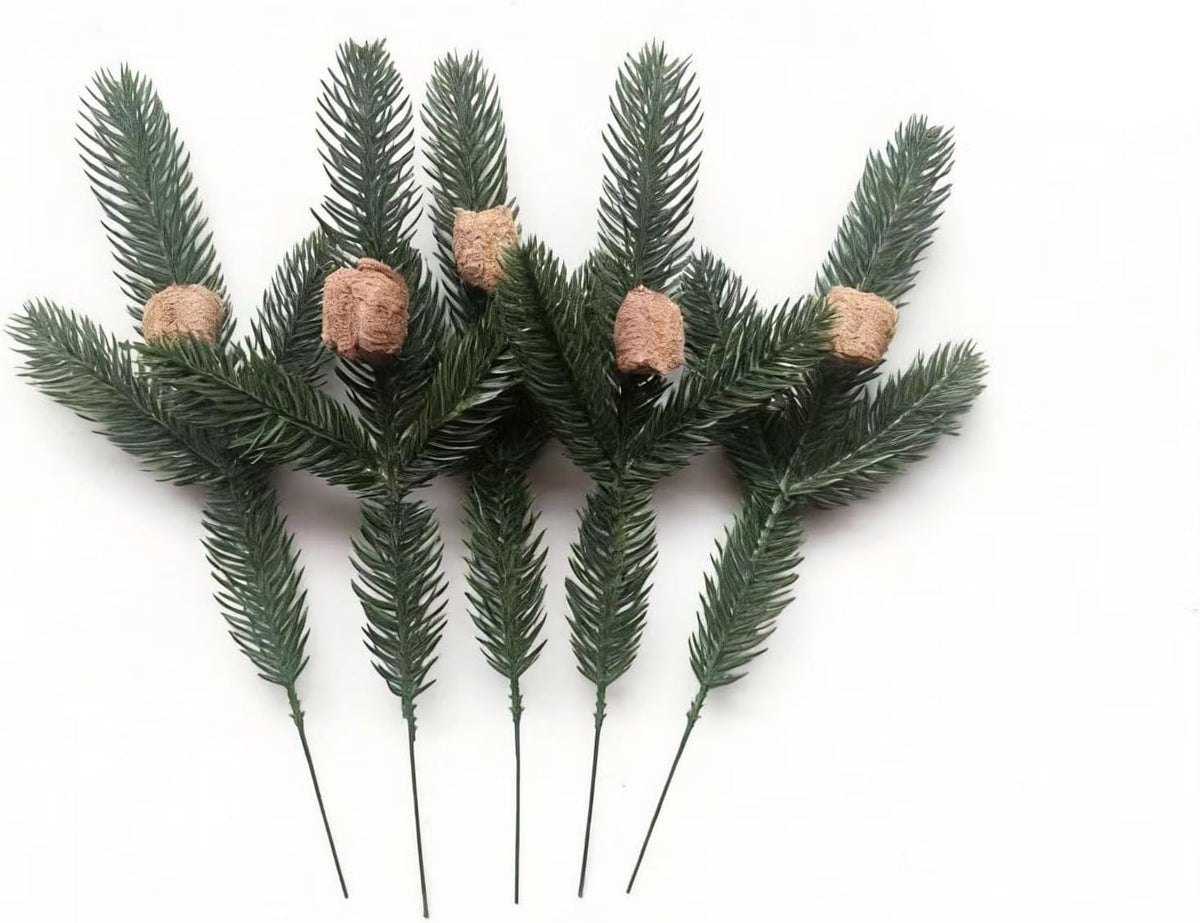 Praying Mantis Ootheca Egg Case on a Pine Branch(Five Egg Cases) – Imitate the Wild Environment, Release to the Garden, Nature, Each Ootheca can Produce up to 400 Baby mantises