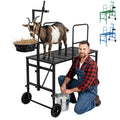Goat Milking Stand, Goat Stand for Hoof Trimming & Grooming, Black