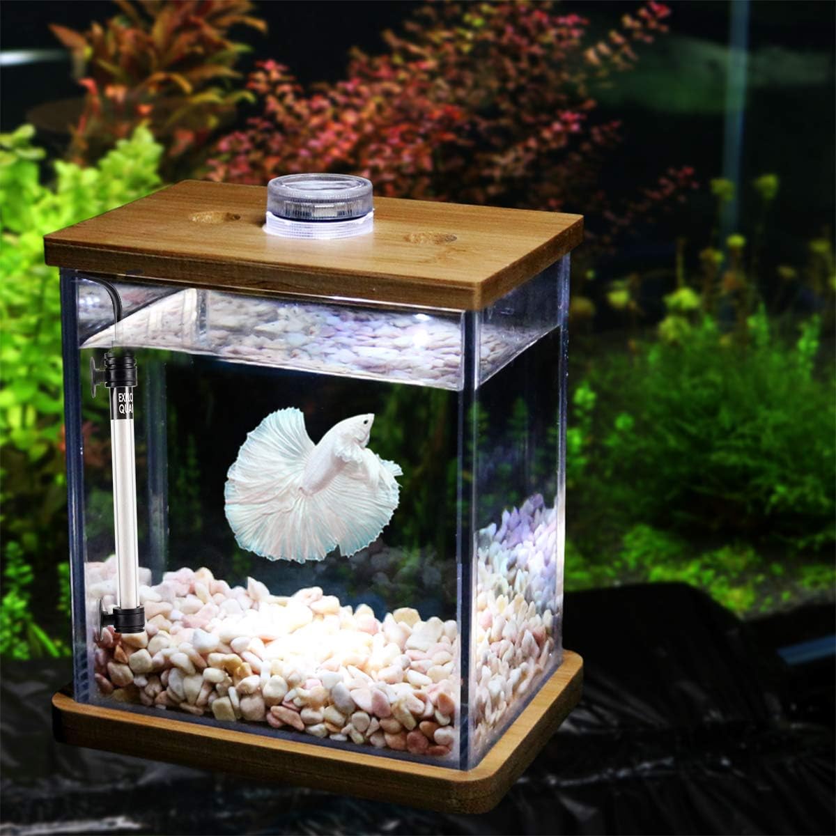 hygger 100W Mini Inline Quartz Glass Aquarium Heater with External Controller, Adjustable Submersible Betta Fish Tank Thermostat for 10-30 Gallon