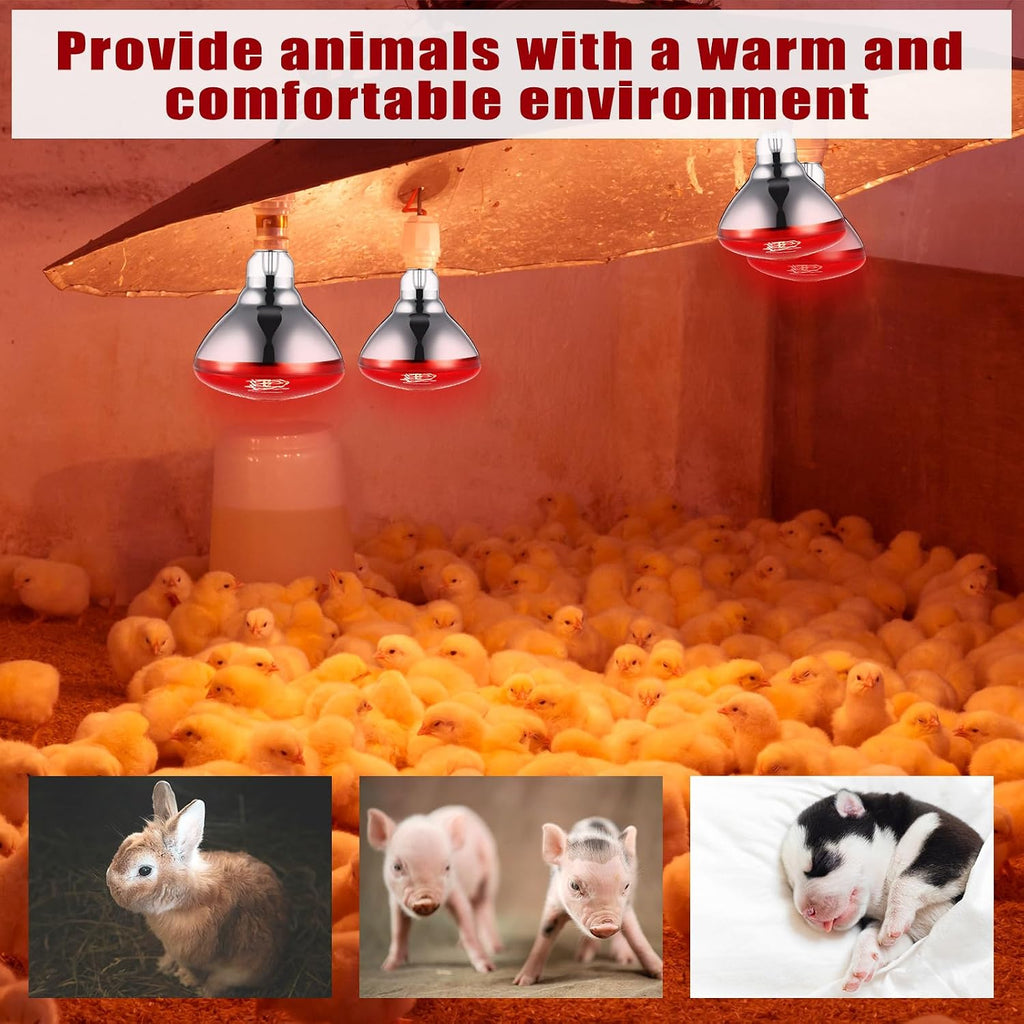 VIHOSE 8 Pack Heat Lamp Bulbs, Red Infrared Bulbs 120 V, 150 Watt