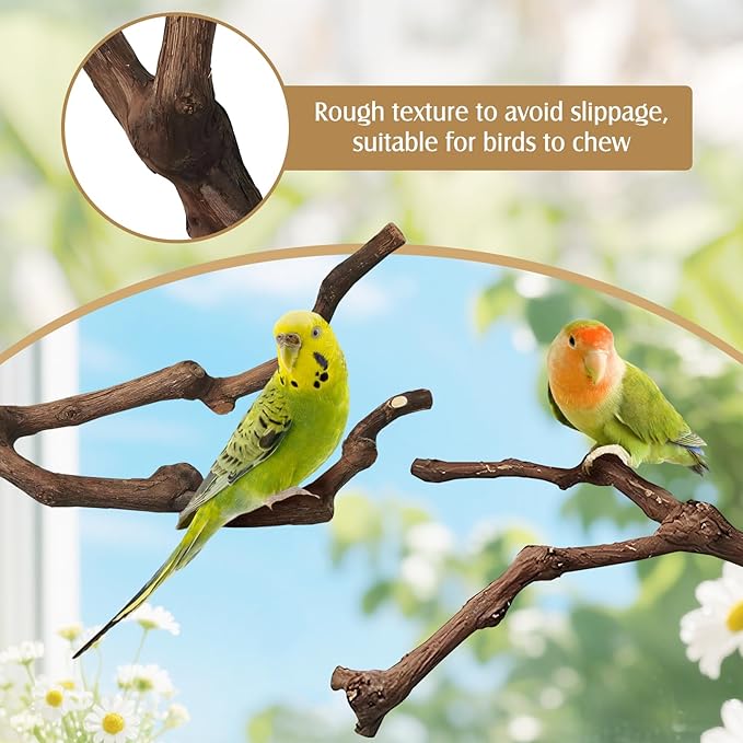 PINVNBY Natural Parrot Perch Grape Wood Bird Stand Pole Parakeet Paw Grinding - Image 5