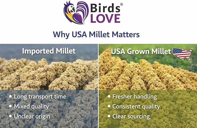 Birds LOVE Millet Tips & Tails for Birds - Image 9