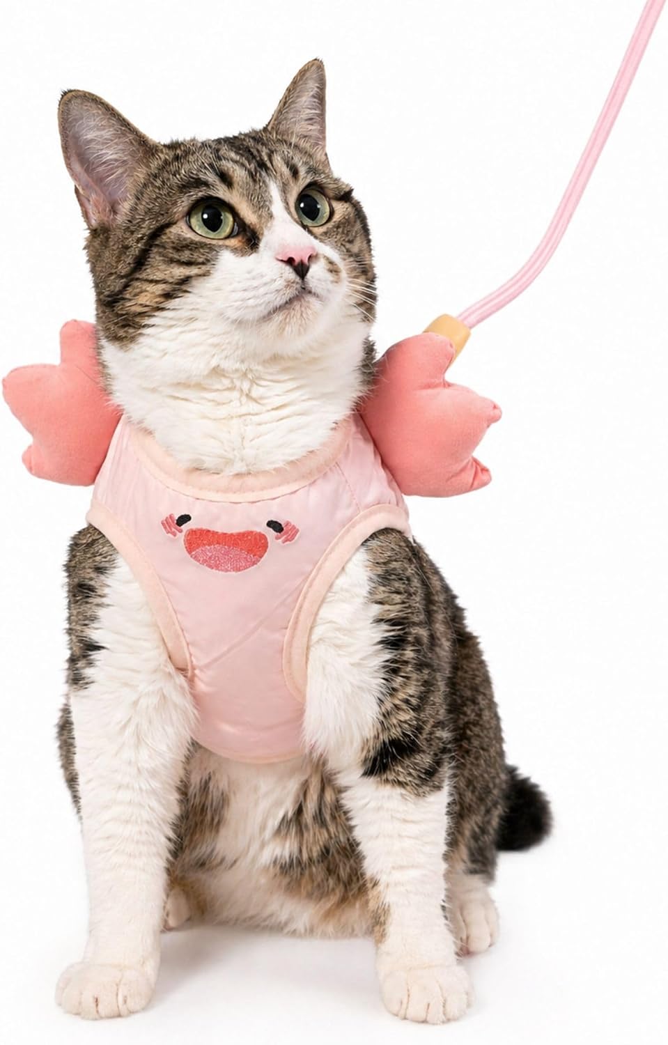 Cat Harness and Leash Set, Step-in Mesh Vest, Pink Axolotl, Small