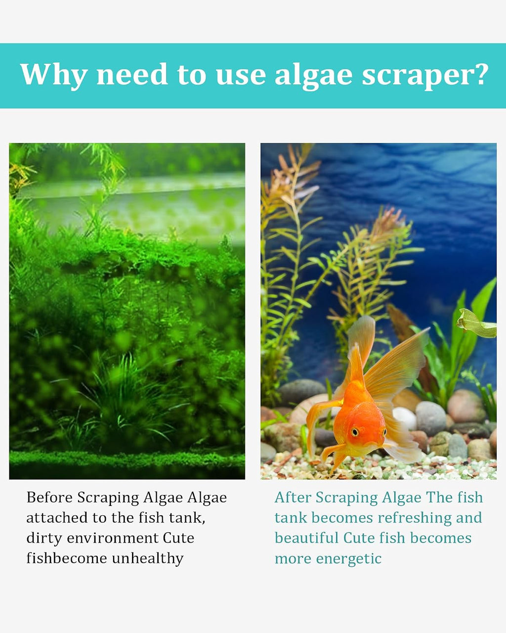 Aquarium Scraper Algae Cleaning Tool for Glass Aquariums