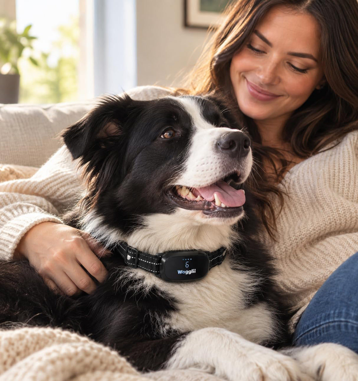 Dog Shock Collar with Bark Counter