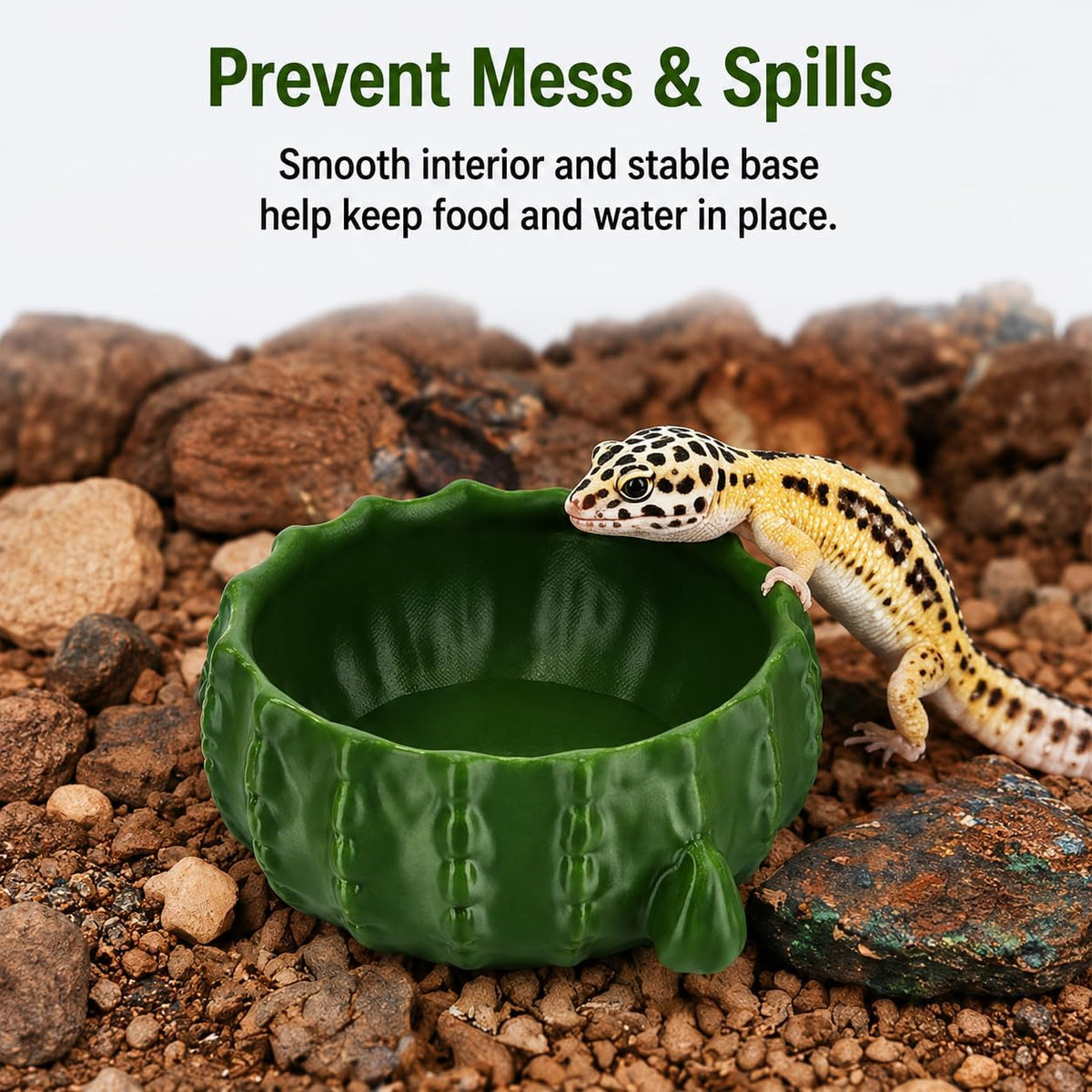 3.58IN-Bionic Plant Reptile Feeding Tray – Gecko Food Dish and Reptile Water Dish, Bearded DragonTank Accessories, Provide Clutter-Free Terrarium Feeding, Suitable for Lizards, Snakes, Turtles