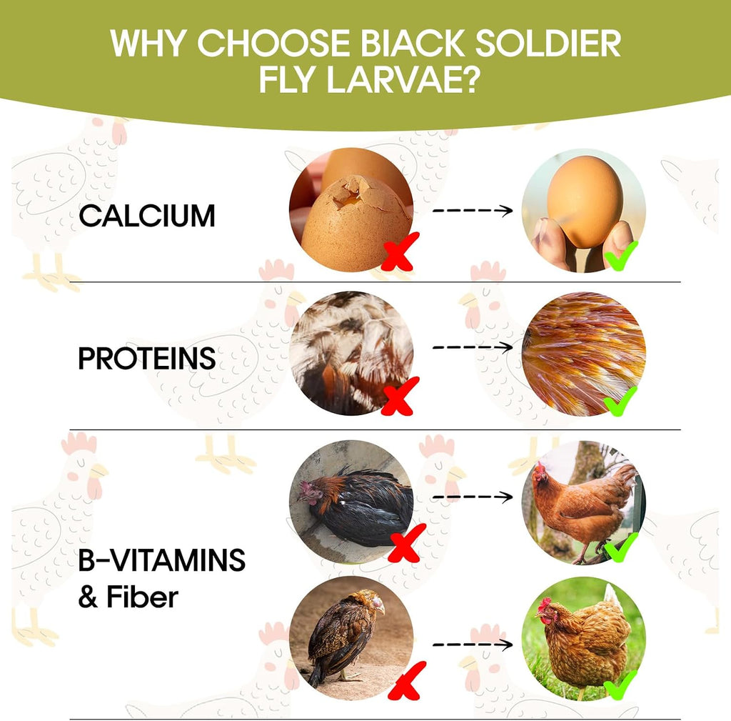 5LB Dried Black Soldier Fly Larvae for Chicken, Poultry, Wild Birds,No Additives, 100% Natural Non-GMO, More Calcium Chicken Treats Than Mealworms