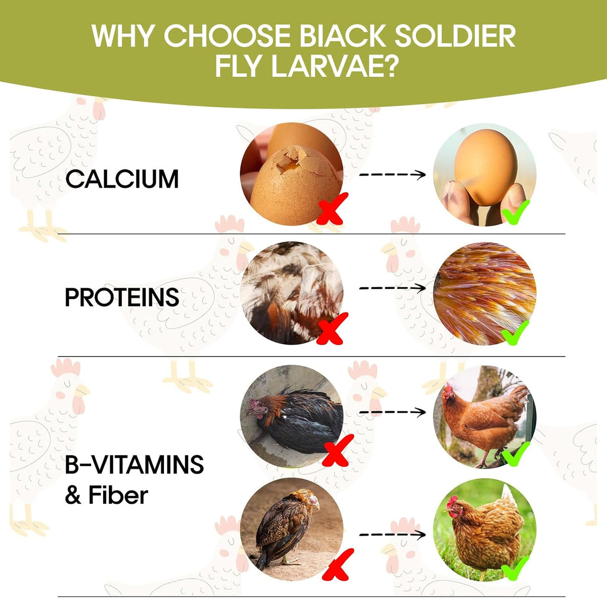 5LB Dried Black Soldier Fly Larvae for Chicken, Poultry, Wild Birds,No Additives, 100% Natural Non-GMO, More Calcium Chicken Treats Than Mealworms