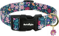Dog Collar for Medium Dogs, Spring Dark Green Dog Collars by Unknown