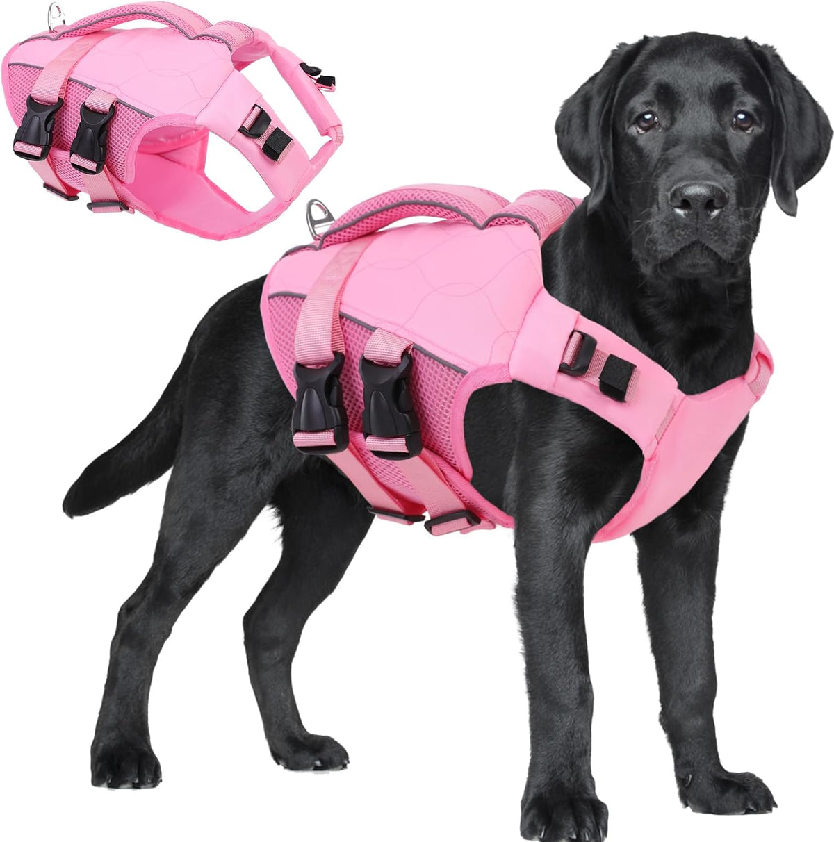 ASENKU Dog Life Jacket, High Floatation Dog Swimming Vest with Rescue Handles for Small Medium Large Dogs, Pet Safety Swimsuit Preserver for Pool Beach Boating (LightPink, 2XL)