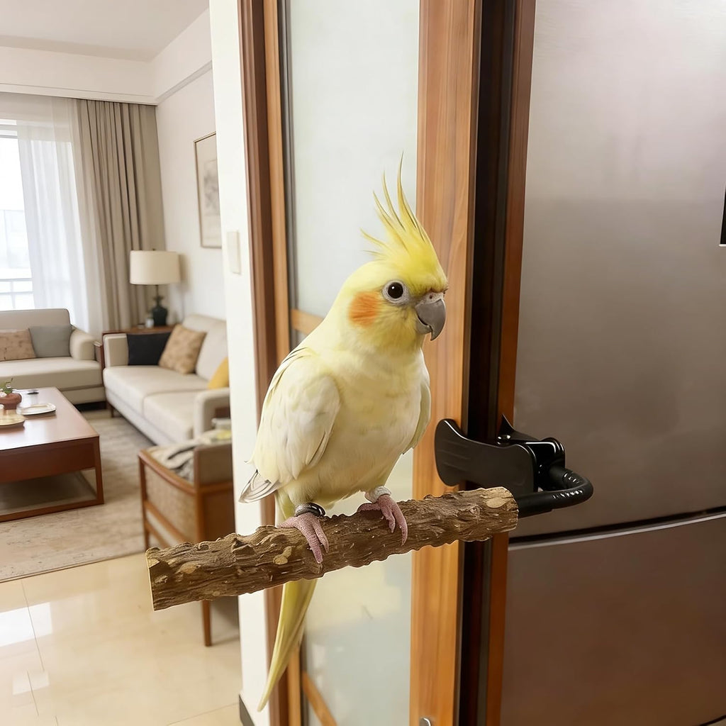 Bird Perch Stand with Clip, Adjustable & Portable Parrot Stand with Parrot Feeding Cups Bendable Training Perch for Cockatiels, Conures, Lovebirds ird cage Accessories