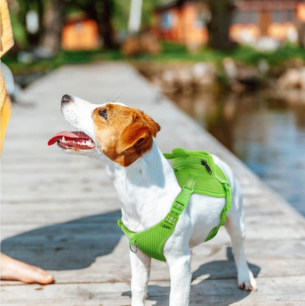 Dog Backpack Harness, No-Pull Dog Backpack with D-Ring,Frog,XS
