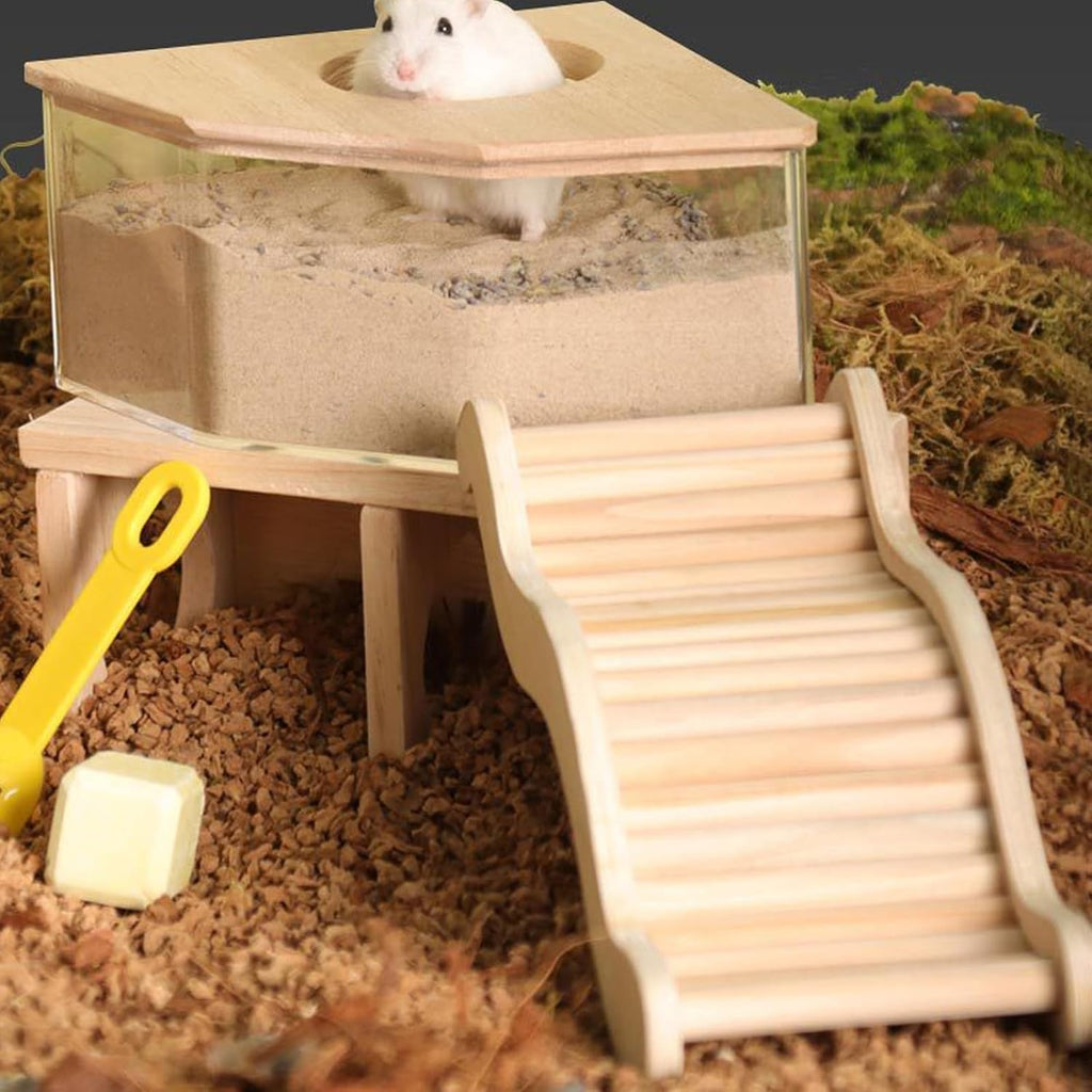 Hamster Play Wooden Platform & Hamster Climbing Ladder for Hamster Squirrel Chinchilla