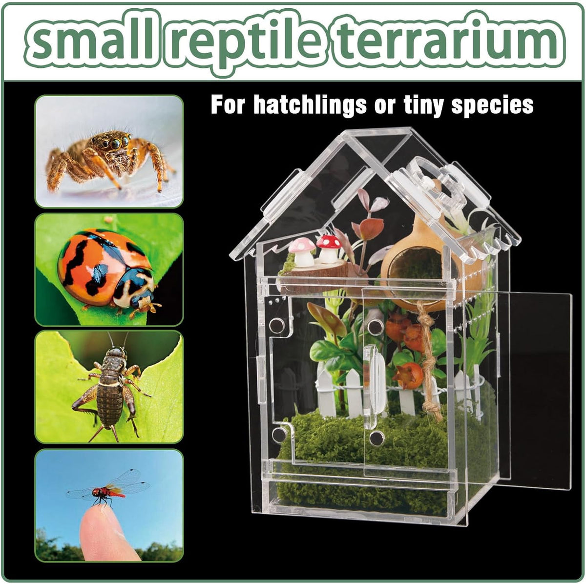 Acrylic Terrarium Kit for Jumping Spiders & Tarantulas - 3.15"x3.15"x5.6" Spider Enclosure with Magnetic Feeding Door & Secure Latch - Ideal Reptile Cage, Praying Mantis Habitat, Bug Terrarium