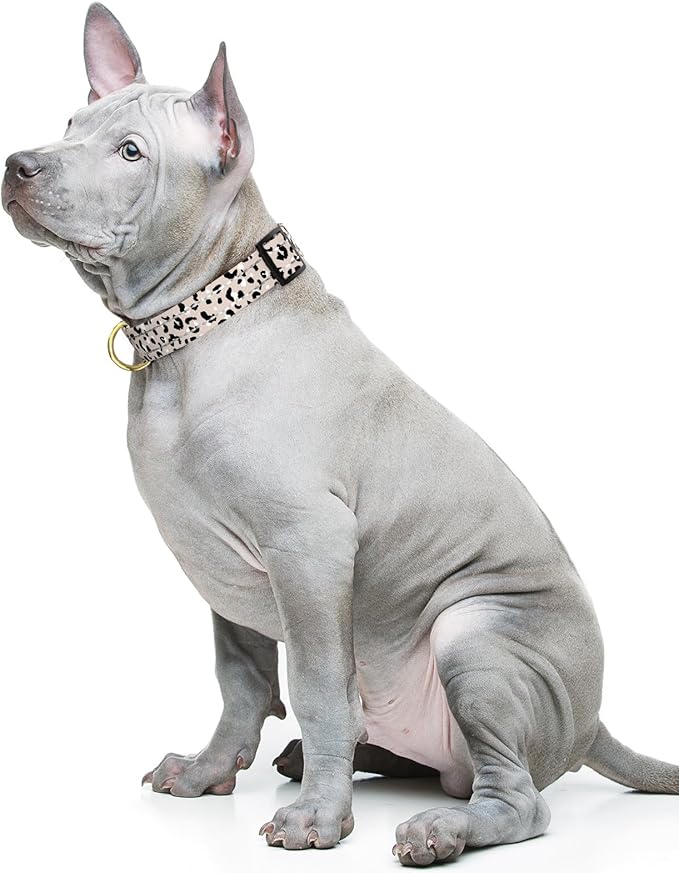 Reflective Dog Collar for Medium Dogs, Cute Leopard Style Adjustable Heavy-Duty - Image 2