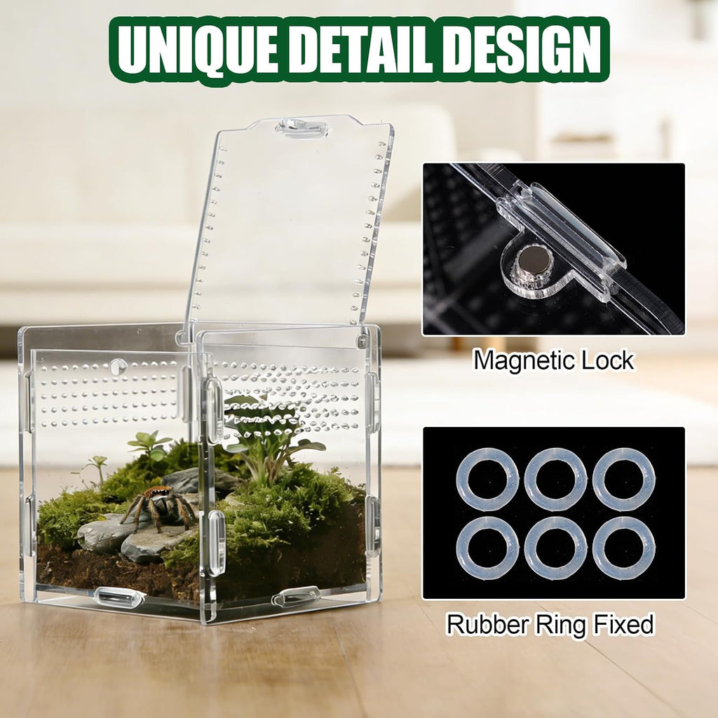 Jumping Spider Small Terrarium 3.5×3.5×9.5 Inch Acrylic Enclosure
