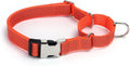 Reflective Martingale Dog Collar with Quick-Snap Metal Buckle