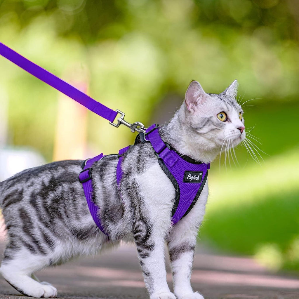 PUPTECK Cat Harness and Leash Set Escape Proof for Walking, Breathable Mash Vest Adjustable Harness for Cats Puppy Small Animals, Reflective at Night, Purple Medium