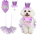 Dog Birthday Bandana with Hat and Dress Girl Set, Dog Birthday Hat Bandana Girl by Unknown