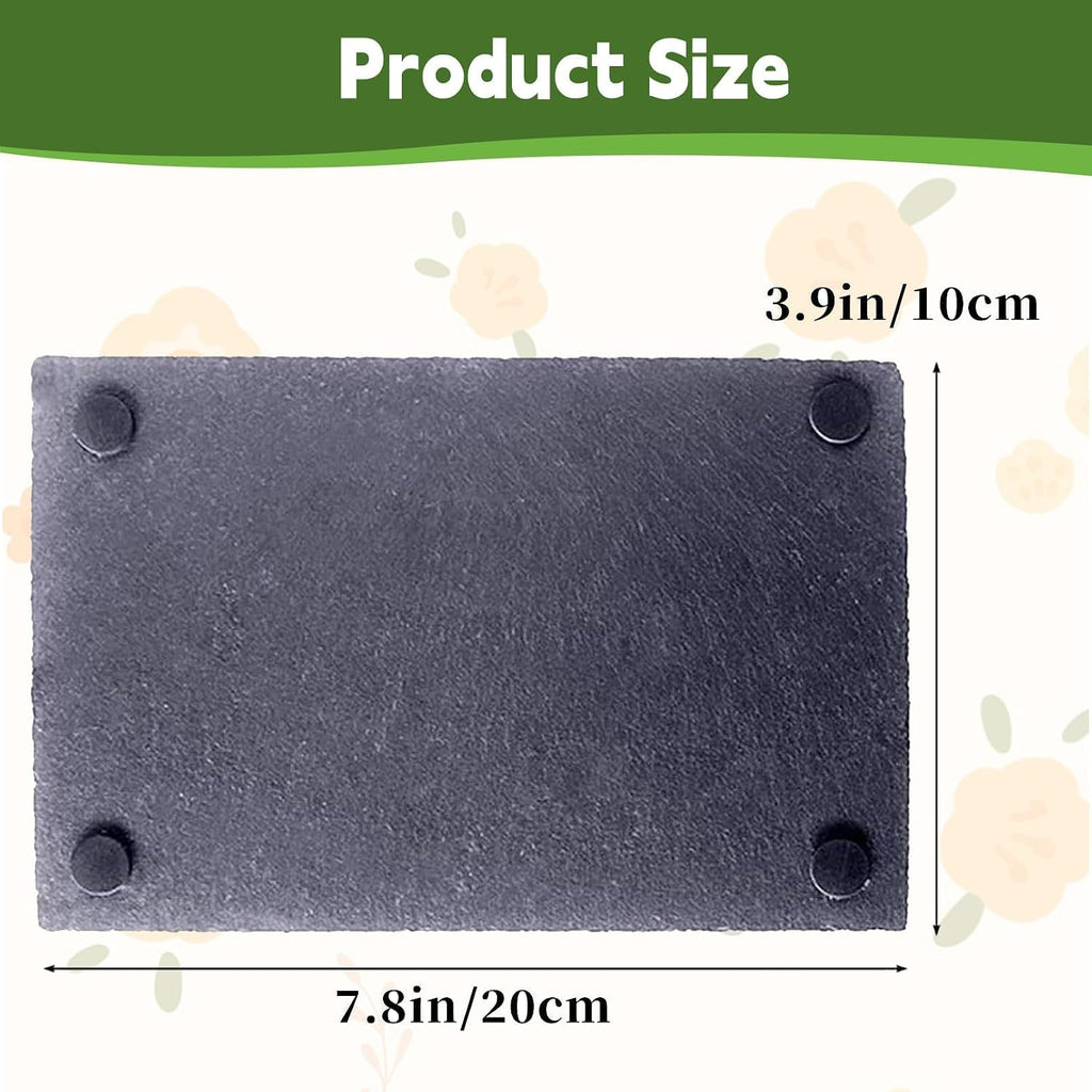 kathson 2 PCS Reptile Basking Platform (7.9 x 3.9 inches), Natural Rock Plate Turtle Food Bowl Feeding Dish Resting Terrace Habitat Decor for Tortoise Turtle Lizard Bearded Dragon Crested Gecko Snake