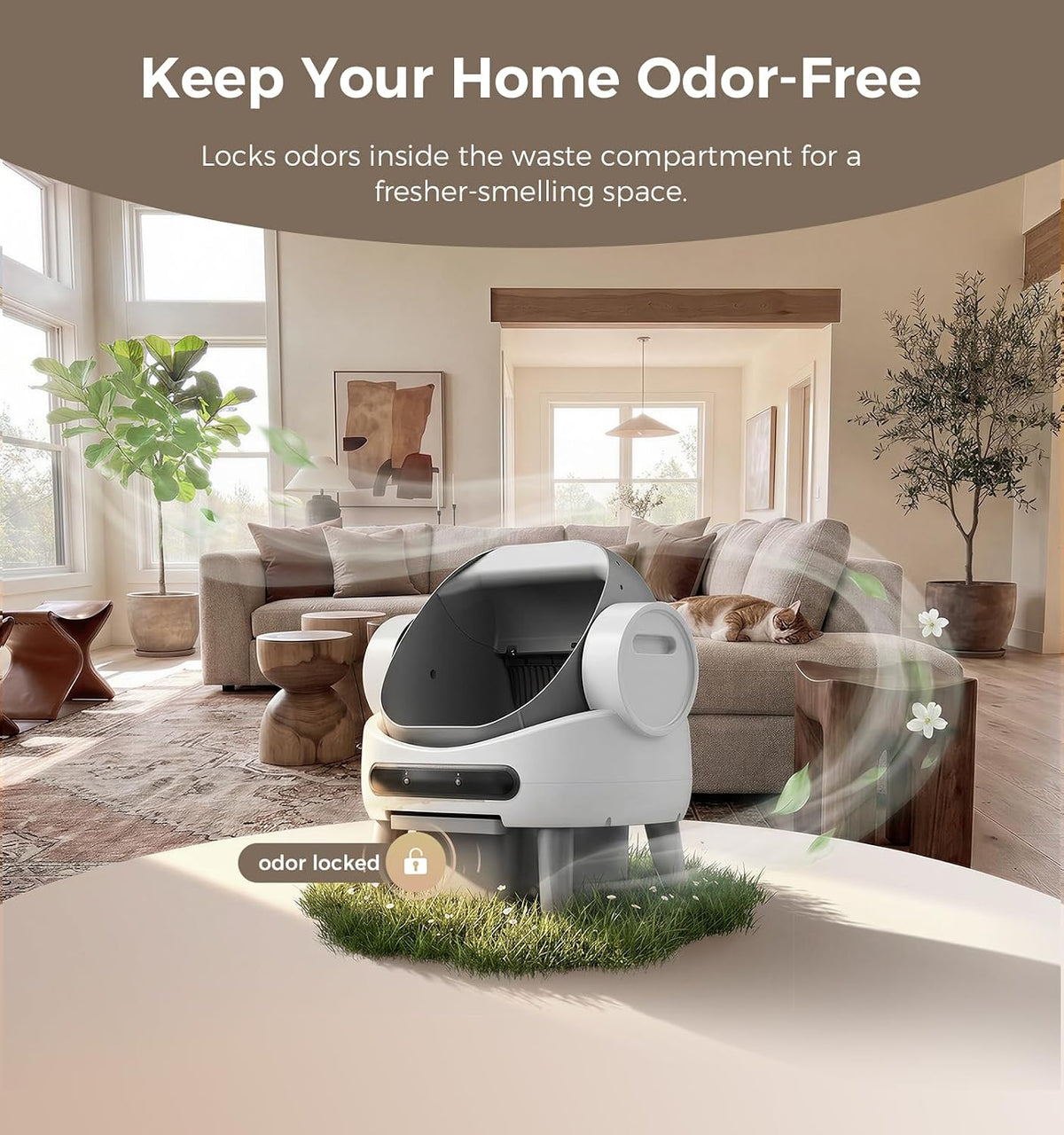 Automatic Litter Box, Open Top Self Cleaning Litter Box for Multiple Cats