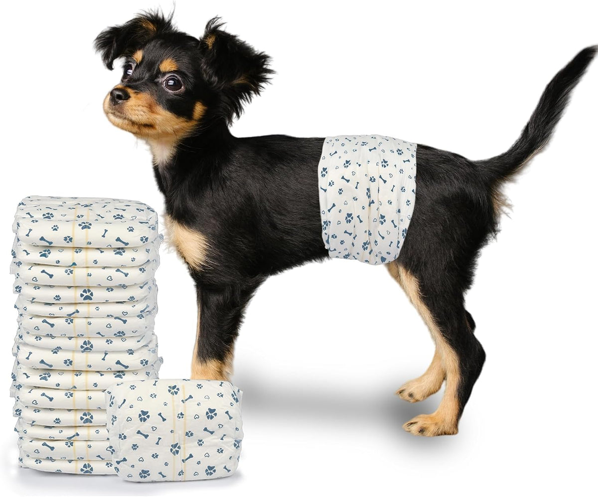 LeapSheep Disposable Dog Diapers Male, Super Absorbent Male Dog Wraps, Puppy Diapers for Doggie Training, Excitable Urination, Incontinence (XSmall, 20ct)