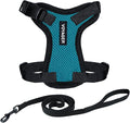 Voyager Escape-Proof Step-in Lock Cat Harness & 5ft Neoprene-Handle Leash Set by BestPetSuppliesLLC