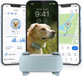 Tractive Smart Dog GPS Tracker | Live Pet Tracker by Tractive
