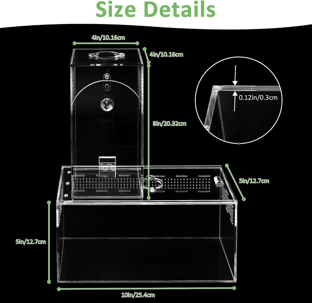 Acrylic Spider Enclosure 2 Pack, Terrarium for Jumping Spider（L）