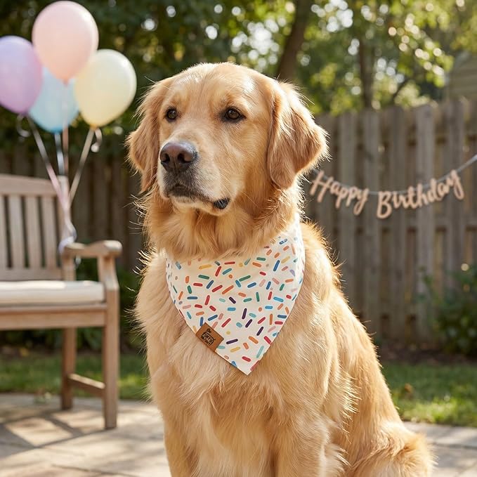 Birthday Dog Bandanas Extra Large, Reversible Colorful Confetti Sprinkles - Image 2