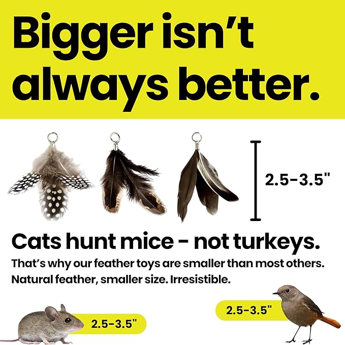 Forever Stick with 9 Feather Toy Lures - Image 5