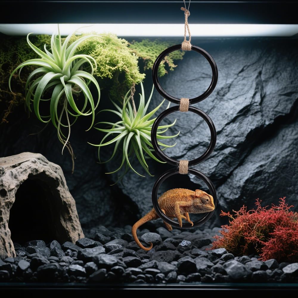 DONGKER Snake Climbing Rings,Hanging Installation Ball Python Enrichment Toys for Corn Snakes Garter Snakes Iguana Lizards Chameleons