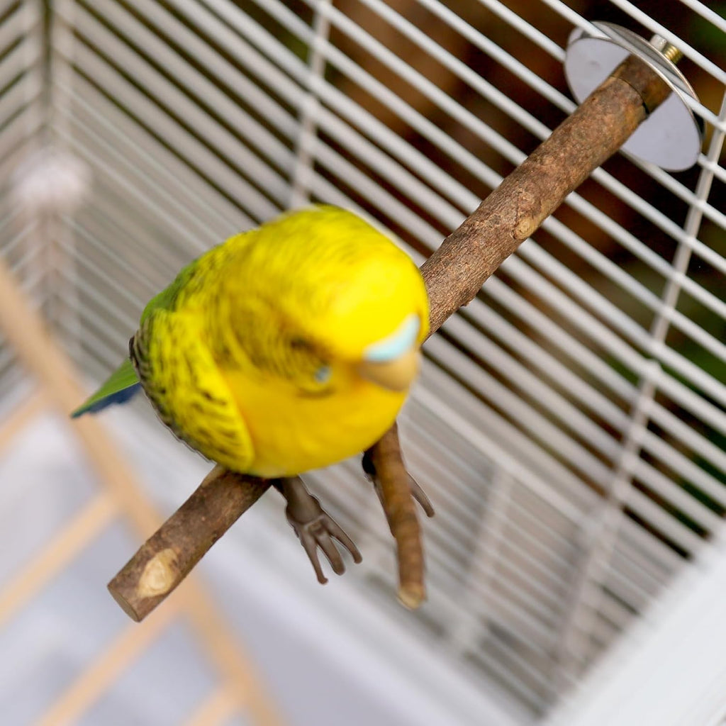 4 Packs Bird Toys - Natural Wooden Parrot Perch Stand, Platform Hammock Swing, ladders - for Macaws, Small Parakeets, Conures, Budgies, Finches