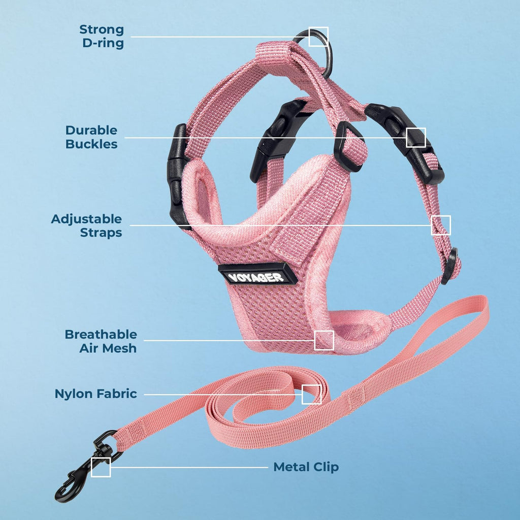 Voyager Step-in Lock Adjustable Cat Harness w. Cat Leash Combo Set with Neoprene Handle 5ft - Supports Small, Medium and Large Breed Cats by Best Pet Supplies - Pink, S (Pack of 2)
