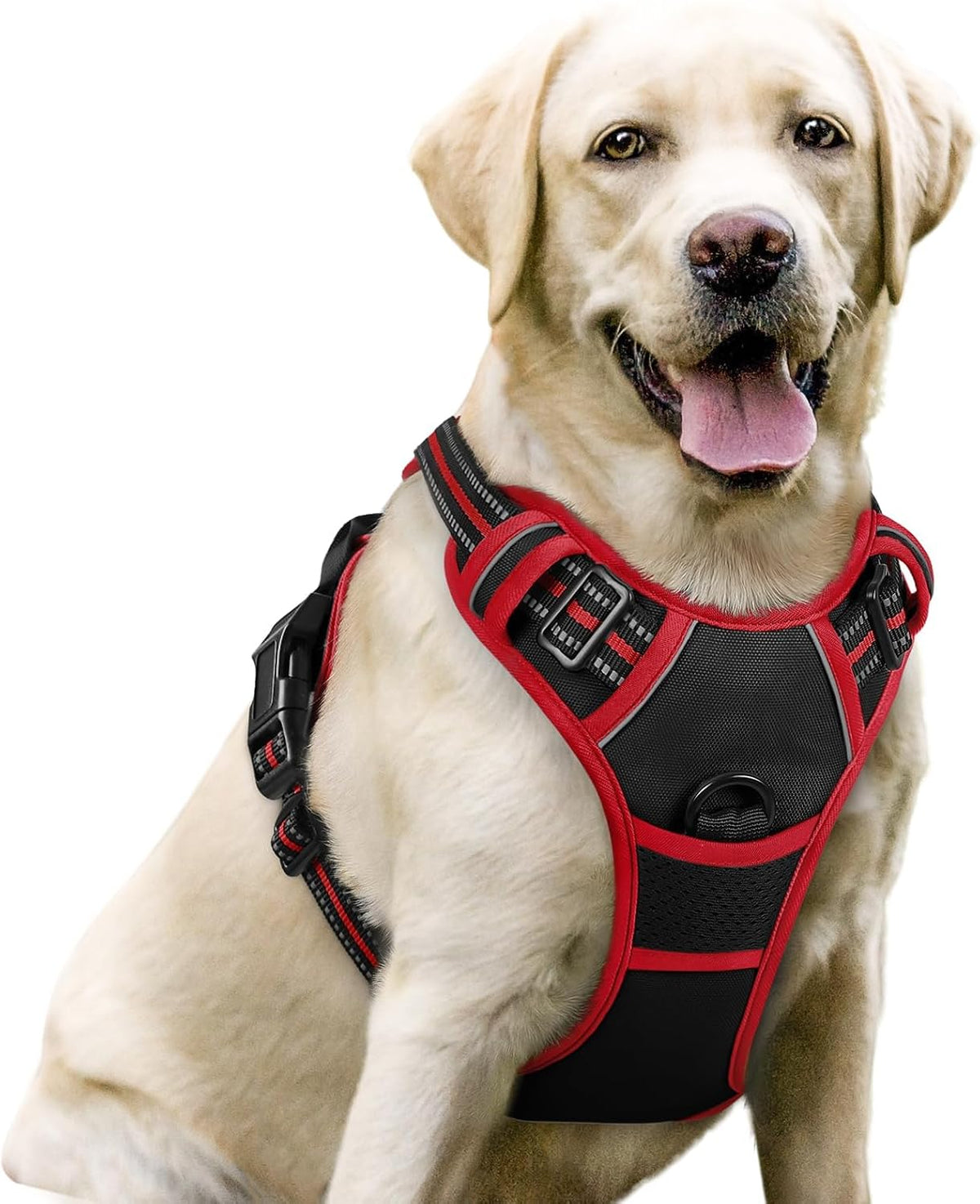 rabbitgoo Dog Harness, No Pull for Large Dogs with 2 Leash Clips, Pet Vest