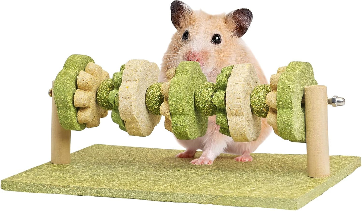 Fhiny Hamster Chew Toy, Rotating Guinea Pig Teeth Hay Enrichment Toy Large