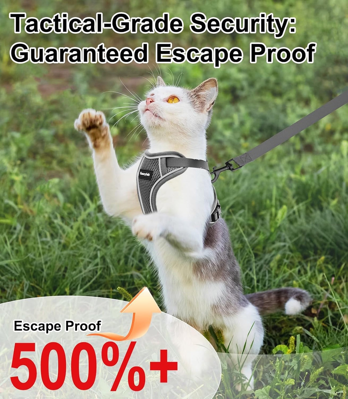 Cat Harness and Leash for Walking Escape Proof Soft Adjustable Cat Leash