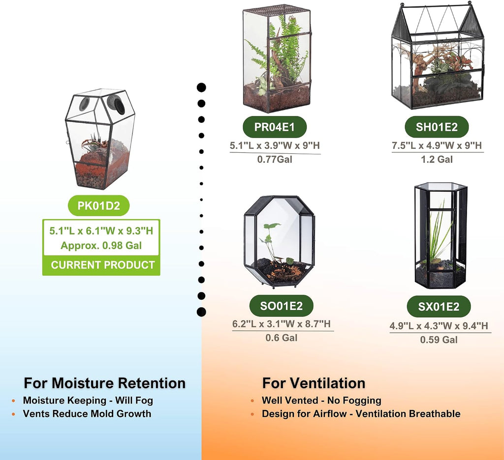 NCYP Gothic Glass Enclosure for Jumping Spider, Snails, Insects - Front Opening Door Geometric Terrarium with Vent Holes, Indoor Tabletop Coffin Shape Decor, Black (Terrarium Only)