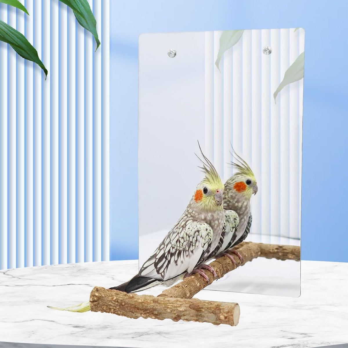Bird Mirror Toy with Perch Stand, Parrot Parakeet Mirror with Bird Swing Bell Toys, Bird Cage Accessories, Suitable for Parakeet Cockatiel Conure Lovebirds - 7.9 × 6.3 Inch