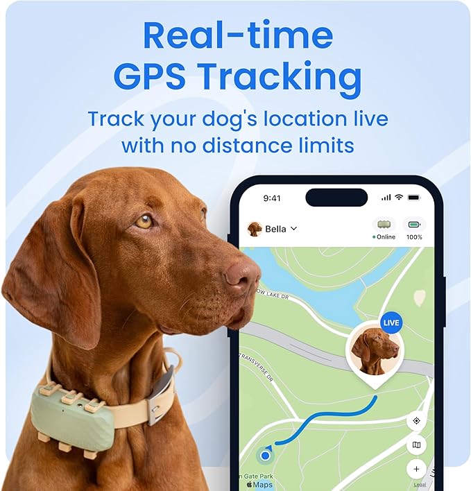 Tractive XL Smart Dog GPS Tracker | Live Pet Tracker - Image 2