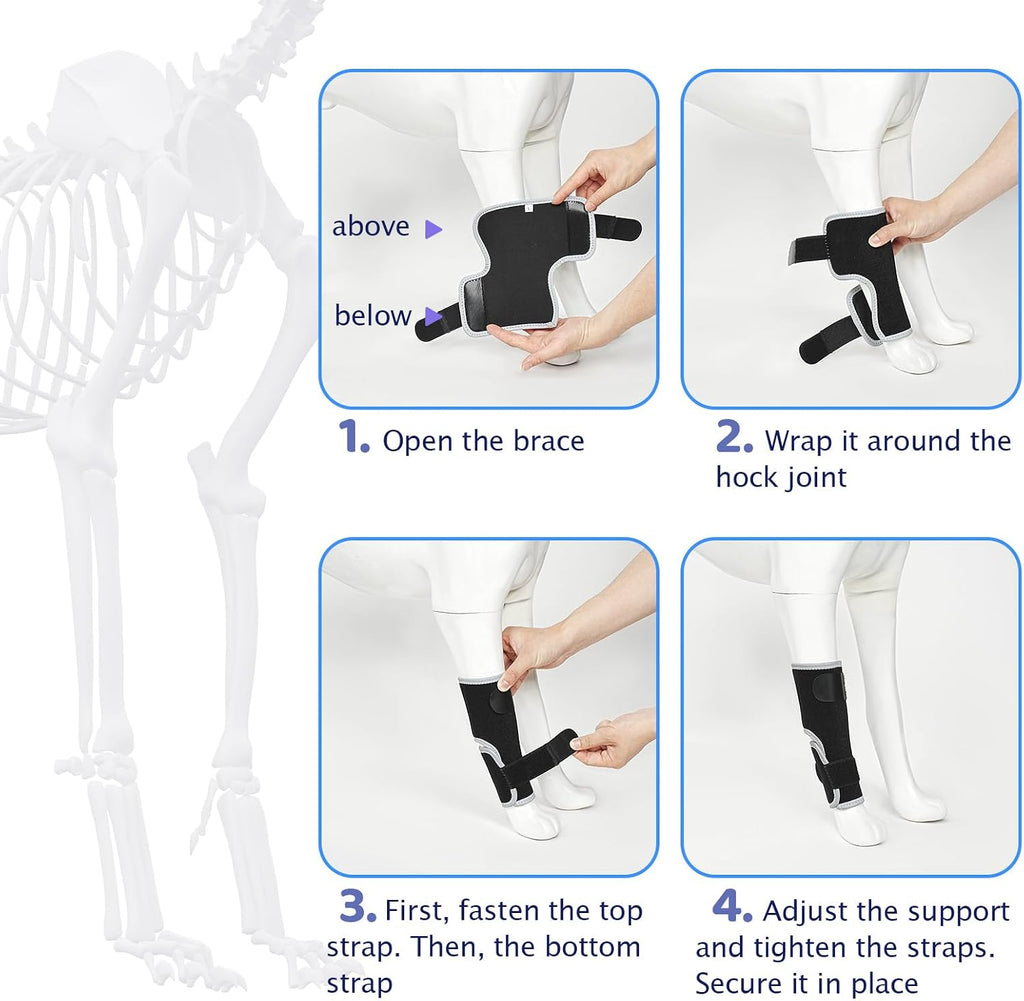Dog Wound Care Front Legs Hock Wrap Compression Providing Stability M