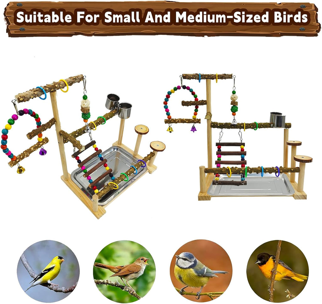 Parrot Play Stand Parakeet Playground Bird Jungle Gym Wood Conure Playstand Hanging Chewing Toys with Swings and Feeder Cups Bird Cage Accessories for Cockatiel Lovebirds Budgie