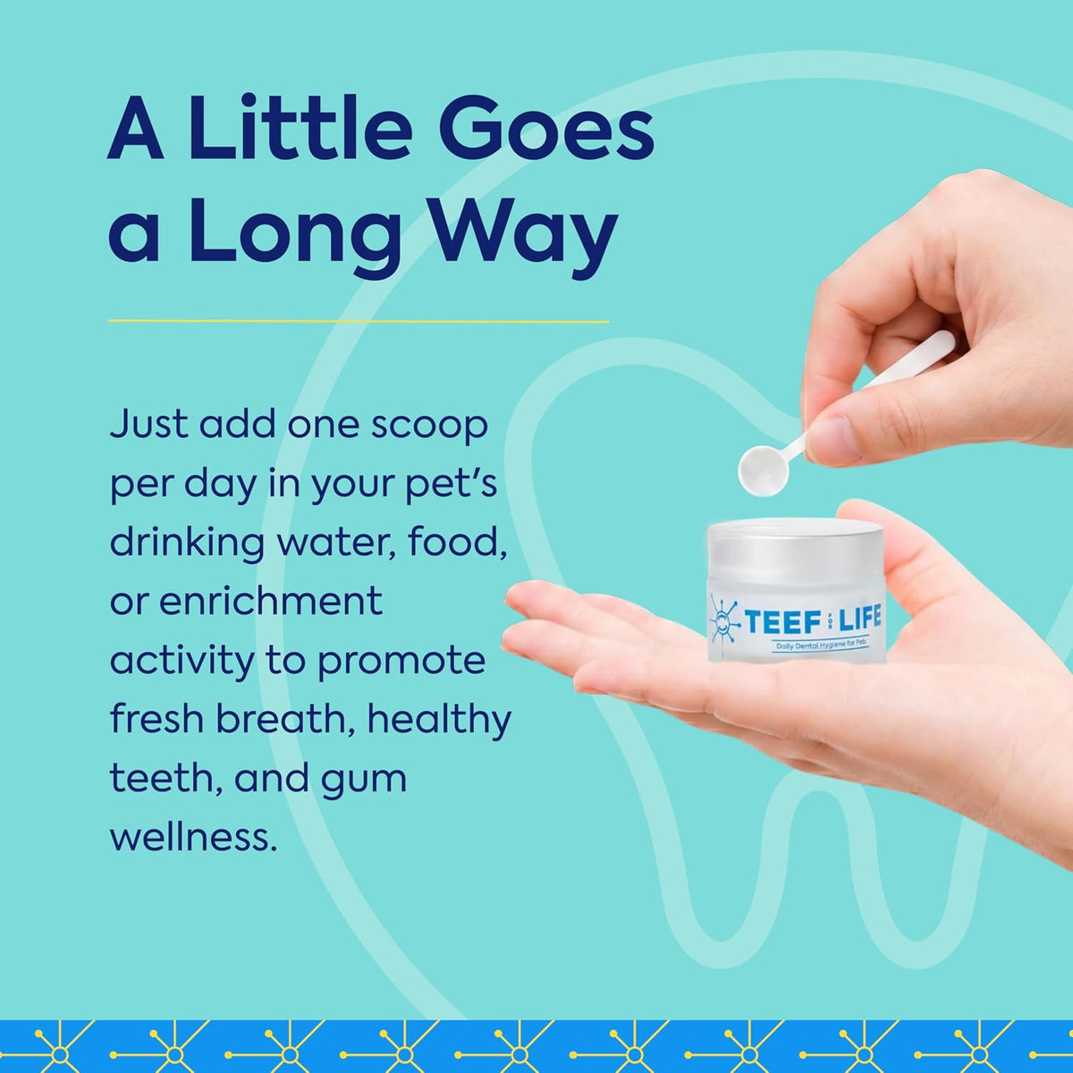 TEEF FOR LIFE Protektin42K Prebiotic Cat & Dog Dental Powder Kit