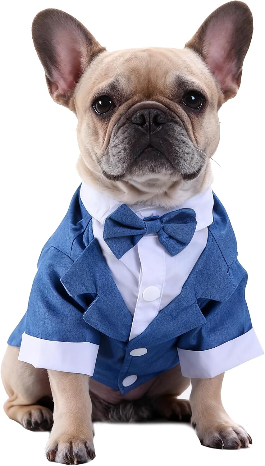 Black, White, Blue Dog Shirts for Wedding, Puppy Tuxedo, Dog Formal Wear, Doggie Tux, Suit and Tie Costume Blue Medium