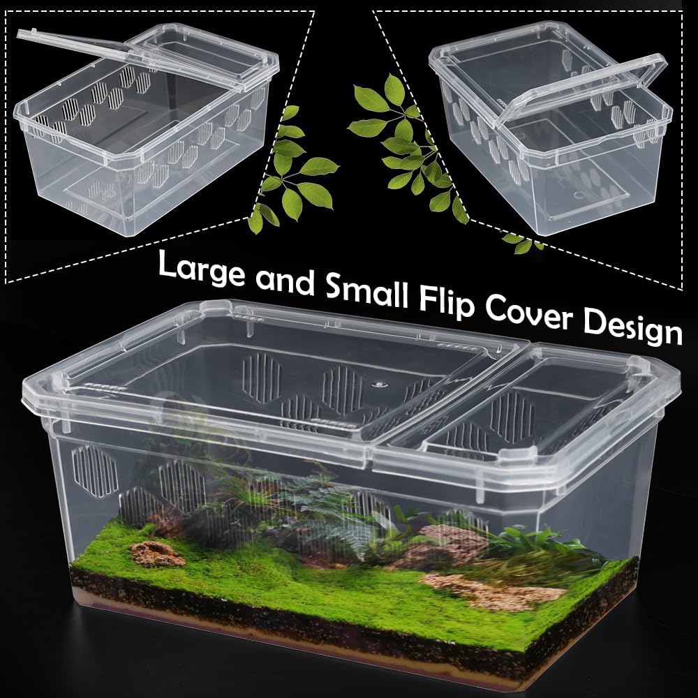 6 Pack Reptile Feeding Box Breeding Box Transparent Hatching Container Plastic Feeding Box for Small Reptiles Amphibians Spiders Scorpions Geckos Tortoises Treefrogs (Small Size)