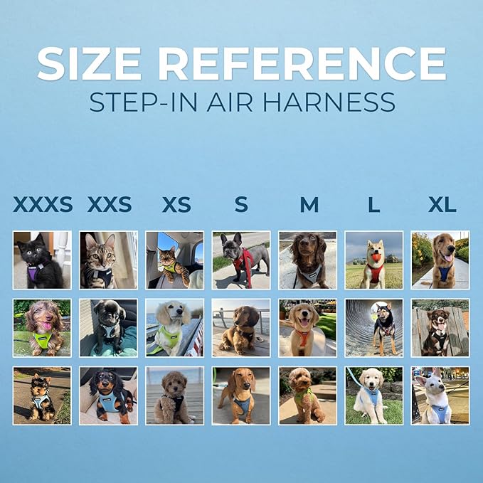 Best Pet Supplies Voyager Step-in Air All Weather Mesh Harness and Reflective - Image 6